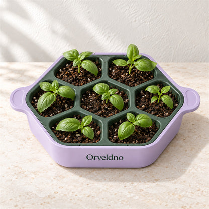 Orveldno Seven-Cell Seedling Tray - secondary product view