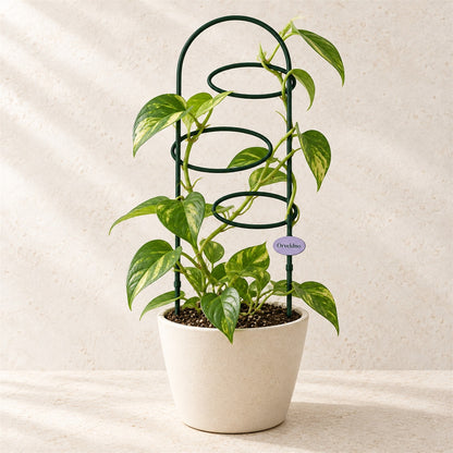 Orveldno Spiral Climbing Trellis - main product view