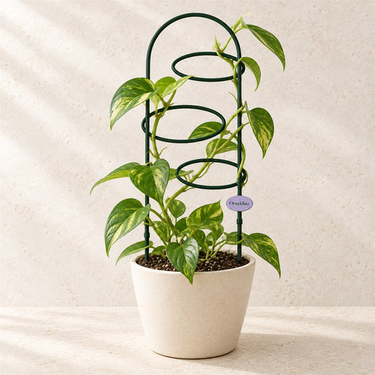Orveldno Spiral Climbing Trellis - main product view