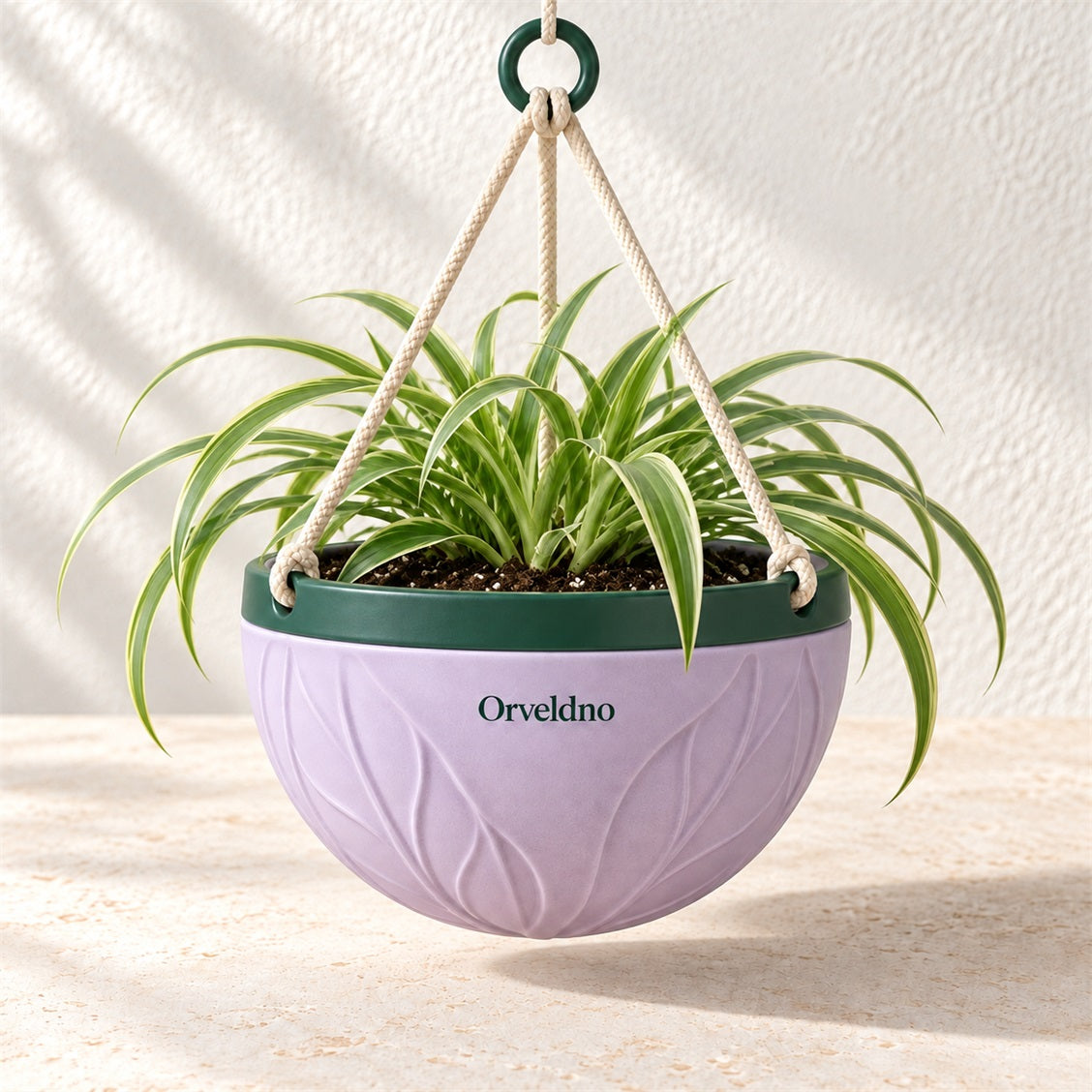 Orveldno Hanging Garden Planter - secondary product view