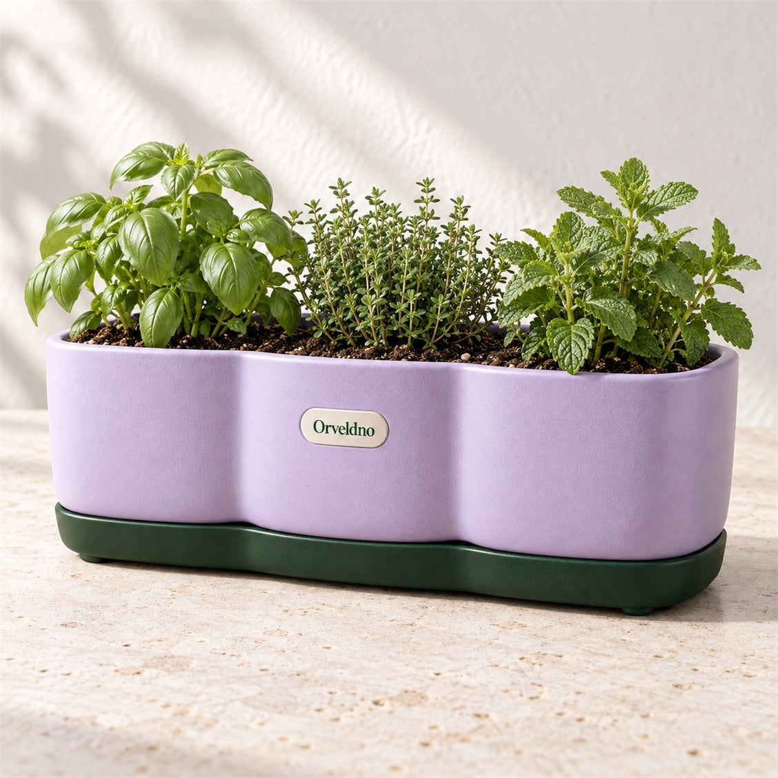 Orveldno Triple Herb Planter - main product view