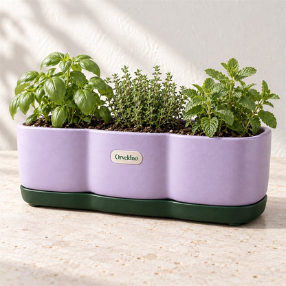 Orveldno Triple Herb Planter - main product view