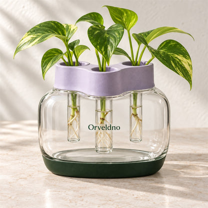Orveldno Three-Vase Propagation Station - main product view