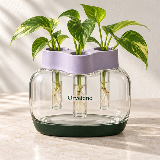 Orveldno Three-Vase Propagation Station - main product view