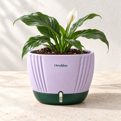 Orveldno Reservoir Plant Pot - secondary product view